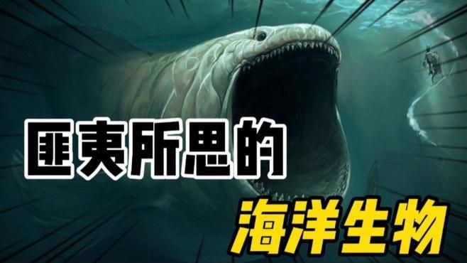 海洋百科視頻,探秘蔚藍世界,海洋百科 龍魚論壇 第9張 海洋百科視頻,探秘蔚藍世界,海洋百科 海洋百科視頻,探秘蔚藍世界,海洋百科 龍魚論壇 第9張