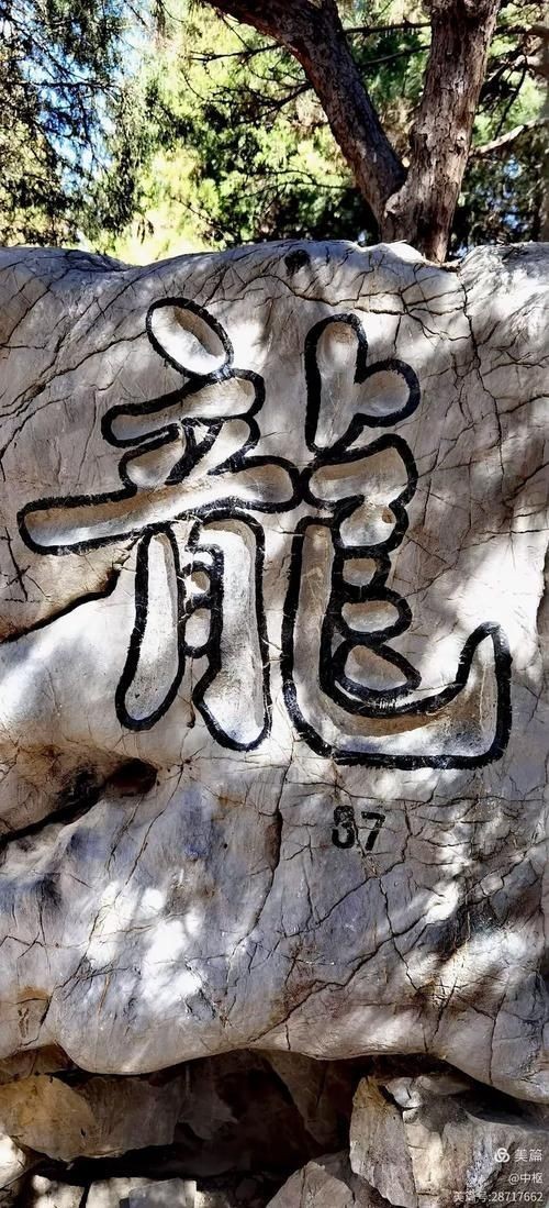 有龍有水的圖片大全，龍游碧波·靈韻生輝——有龍有水的絕美意境圖片大賞