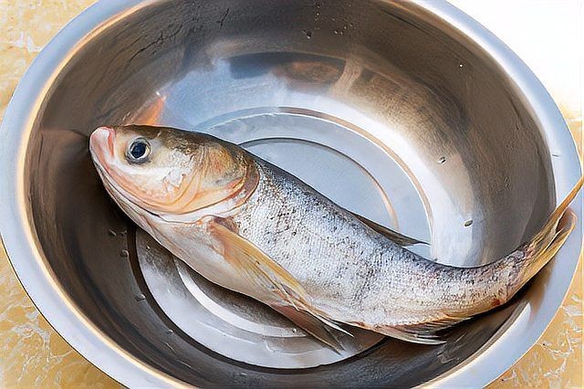 軍魚為什么不建議吃，警惕！專家解析軍魚不宜食用的健康隱患