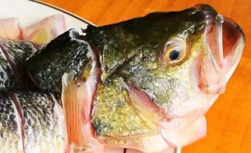 海刀魚為何不建議吃，?? 專家警示，海刀魚存在健康風險，這幾點原因勸你慎食！