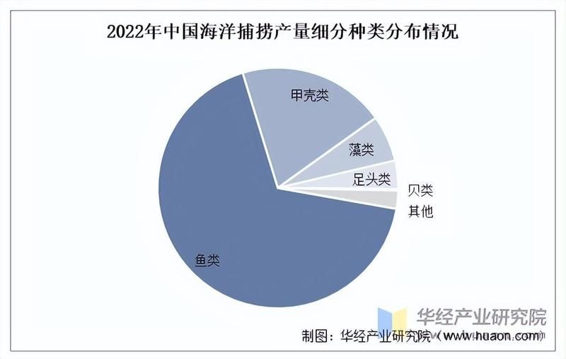 海獅子魚值多少錢一條，海獅子魚市場行情揭秘，單條