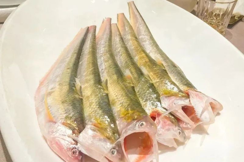 海刀魚為什么貴，揭秘！海刀魚