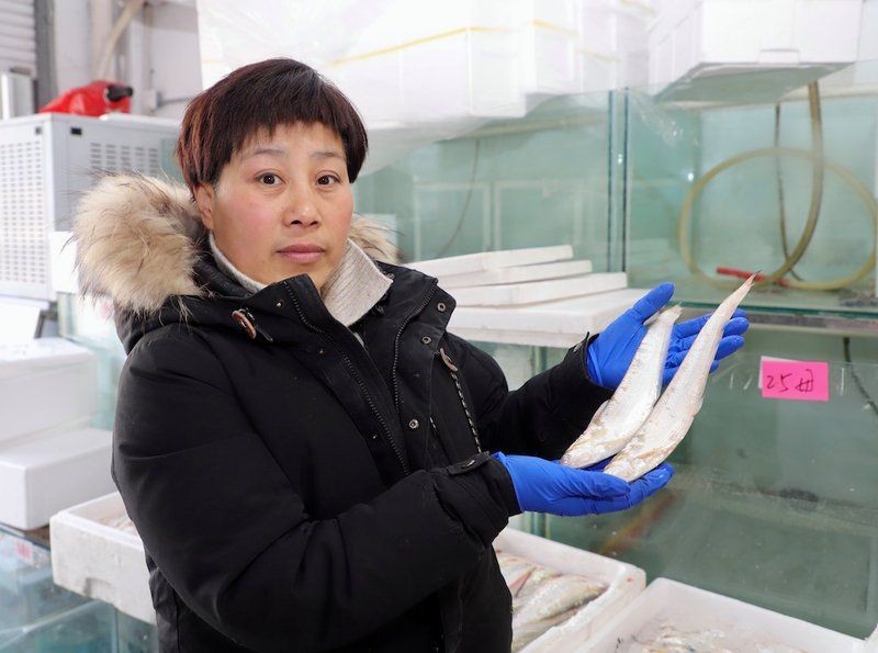 海刀魚為什么貴，揭秘！海刀魚