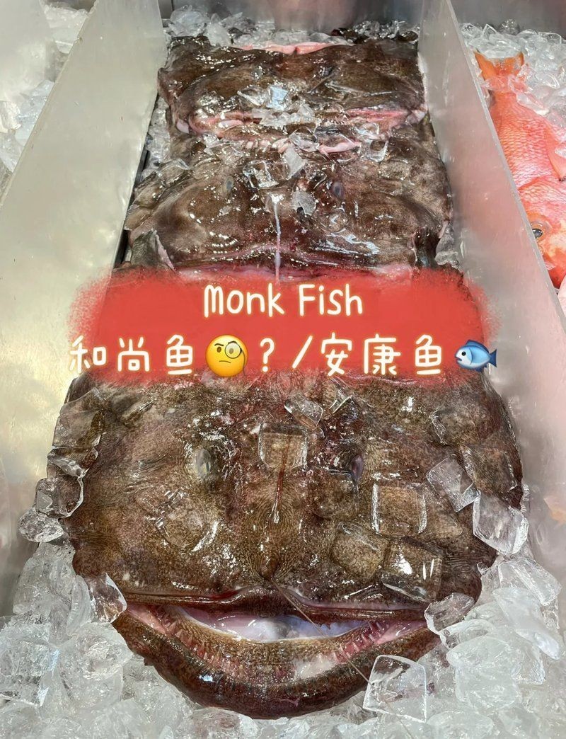 和尚魚市場價格表2023最新，2023年和尚魚最新市場價格行情及報價明細表 和尚魚市場價格表2023最新，2023年和尚魚最新市場價格行情及報價明細表 龍魚論壇 第1張