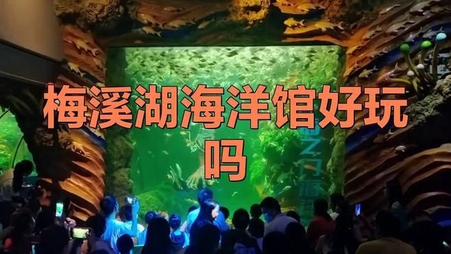 海洋館適合多大的孩子，兒童幾歲適合去海洋館游玩？