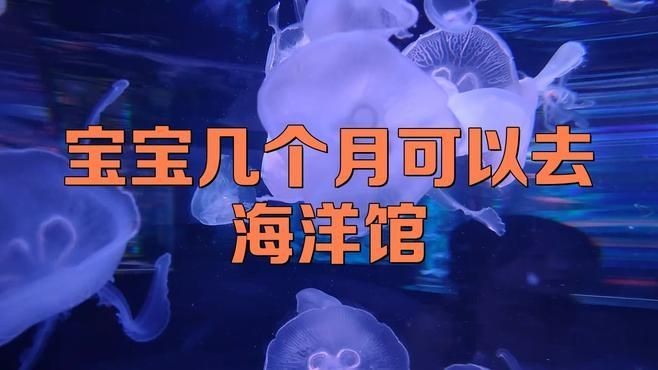 海洋館適合多大的孩子，兒童幾歲適合去海洋館游玩？