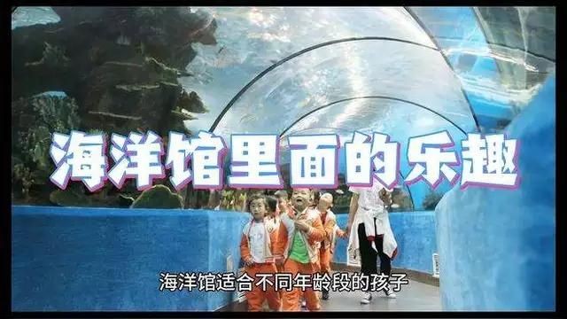 海洋館適合多大的孩子，兒童幾歲適合去海洋館游玩？