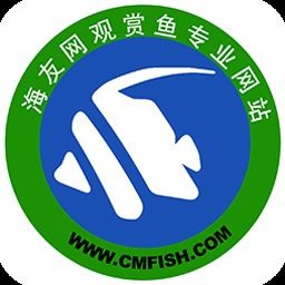 海友論壇官網入口，海友論壇官方網站入口直達 海友論壇官網入口，海友論壇官方網站入口直達 龍魚論壇 第1張