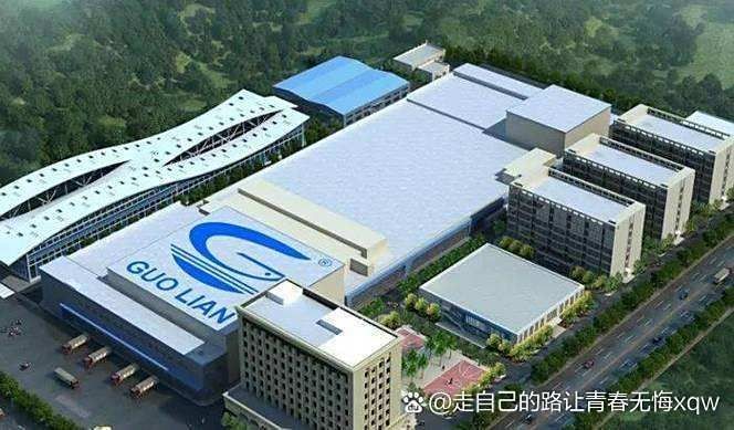 國聯水產有重組預期嗎，聚焦國聯水產，重組預期下的企業戰略布局與市場猜想