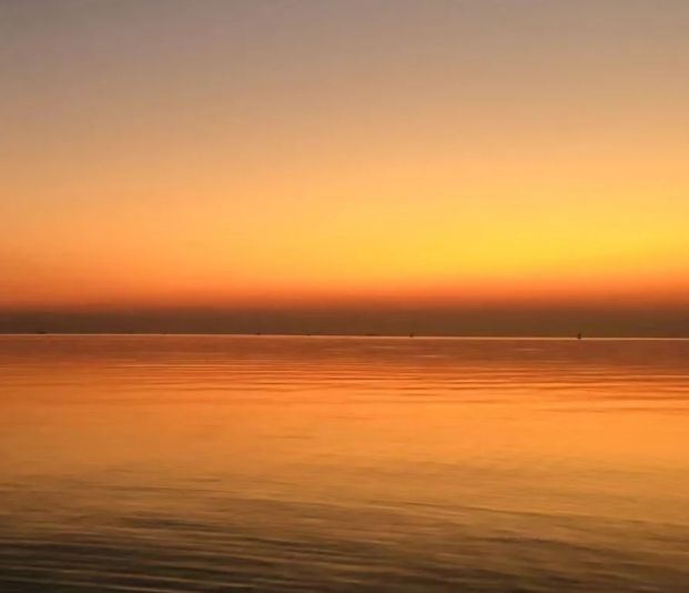 濟州島海洋館是亞洲第一嗎，深度解析，濟州島海洋 濟州島海洋館是亞洲第一嗎，深度解析，濟州島海洋 龍魚論壇 第6張