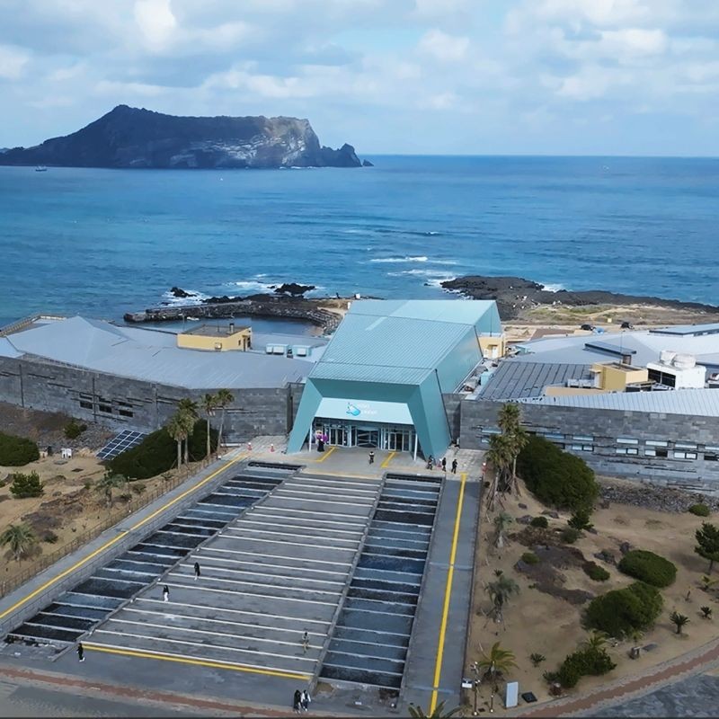 2700K燈適合哪些魚缸尺寸，2700k燈光使用時間表
