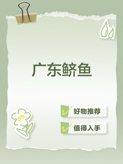 廣東鱭魚圖片,廣東鱭魚高清實拍圖片 龍魚論壇 第3張 廣東鱭魚圖片,廣東鱭魚高清實拍圖片 廣東鱭魚圖片,廣東鱭魚高清實拍圖片 龍魚論壇 第3張
