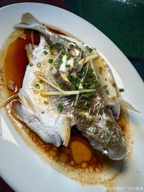 廣東鱭魚圖片,廣東鱭魚高清實拍圖片 龍魚論壇 第8張 廣東鱭魚圖片,廣東鱭魚高清實拍圖片 廣東鱭魚圖片,廣東鱭魚高清實拍圖片 龍魚論壇 第8張