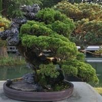 好魚糧好還是不好魚糧好，好魚糧VS劣魚糧，科學養(yǎng)