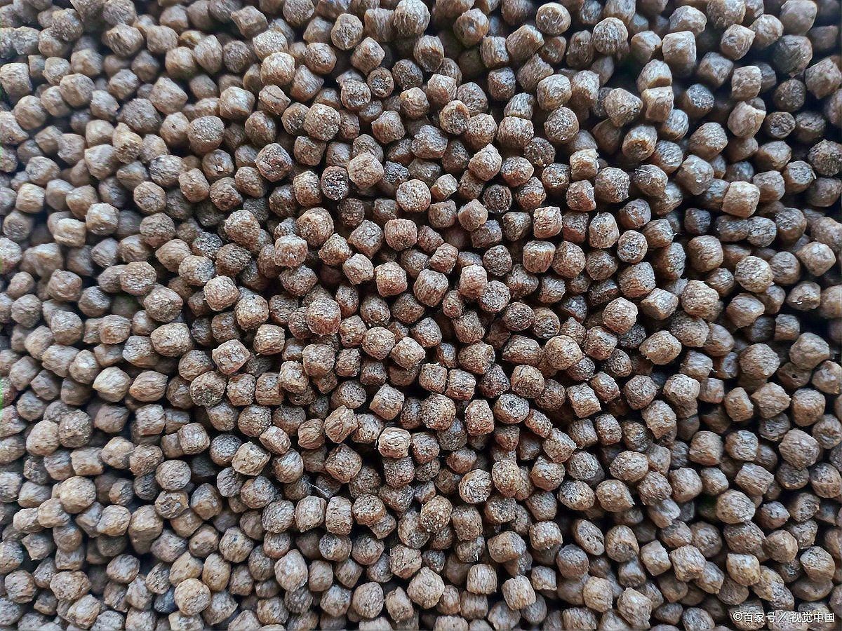 好魚糧好還是不好魚糧好，好魚糧VS劣魚糧，科學養(yǎng)