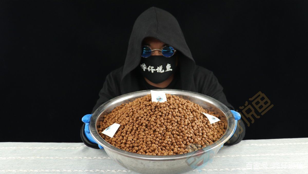 好魚糧好還是不好魚糧好，好魚糧VS劣魚糧，科學養(yǎng)