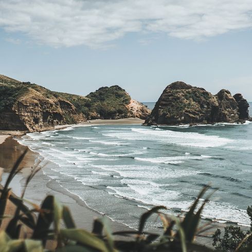 棘龍霸王龍VS牛龍，史前霸主終極對決，棘龍、霸王龍與牛