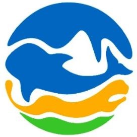 巨骨舌魚1-2cm照片，巨骨舌魚幼體高清實拍，1-2厘米珍稀體型特