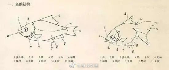 國畫魚寫意，墨趣橫生，國畫寫