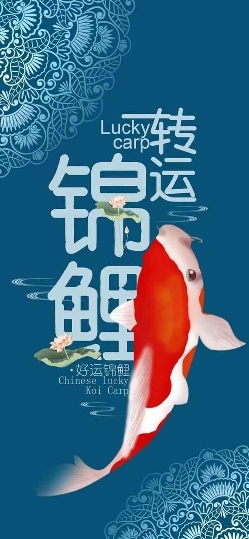 很靈的錦鯉圖，?轉發必旺！超靈驗錦鯉圖接好運暴擊