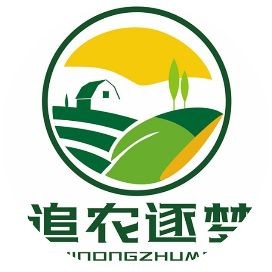 桂紅龍一號和金都一號對比，桂紅龍一號VS金都一號，