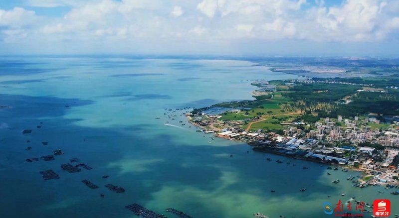 廣東湛江最大蝦廠，探秘廣東湛江最大蝦廠，打造