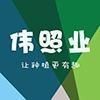 家用燈能不能給植物補(bǔ)光，家用燈光能否替代專業(yè)設(shè)備為植物