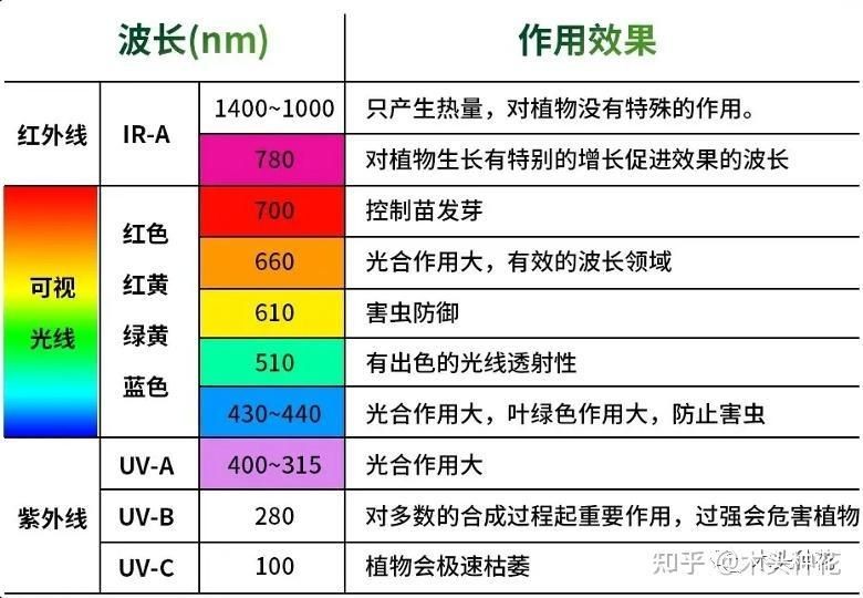 家用燈能不能給植物補(bǔ)光，家用燈光能否替代專業(yè)設(shè)備為植物