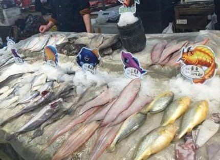 建議買帶魚還是黃花魚，帶魚與黃花魚選購指南，營養(yǎng)口感大比拼，到底選 建議買帶魚還是黃花魚，帶魚與黃花魚選購指南，營養(yǎng)口感大比拼，到底選 龍魚論壇 第6張