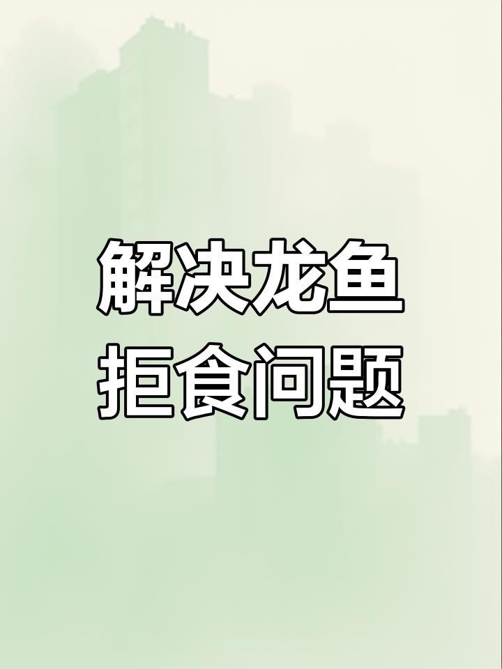 紅龍魚一個月不吃食怎么辦，紅龍魚長期拒食應急指南，一月不進食的原因排查與 紅龍魚一個月不吃食怎么辦，紅龍魚長期拒食應急指南，一月不進食的原因排查與 龍魚百科 第7張