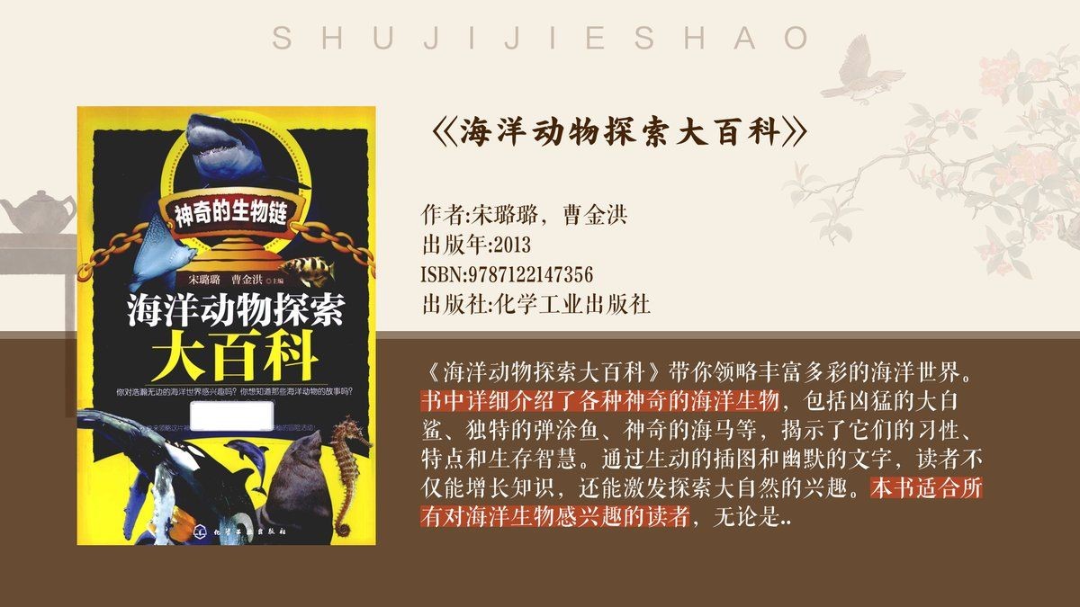關于大白鯊的資料，探秘海洋霸主，大白鯊生物學特性與生態價值