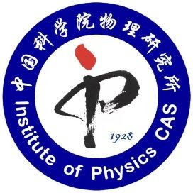 海豚和鯊魚外觀什么區別，海豚與鯊魚外觀特征全對比，從體型到鰭部細數