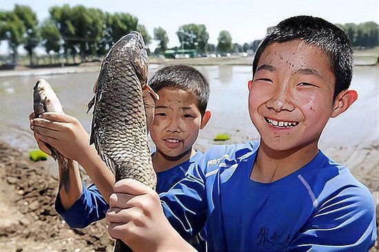 河邊抓小魚最快的方法，超實(shí)用！河邊快速捕撈小魚的高效技巧全解析