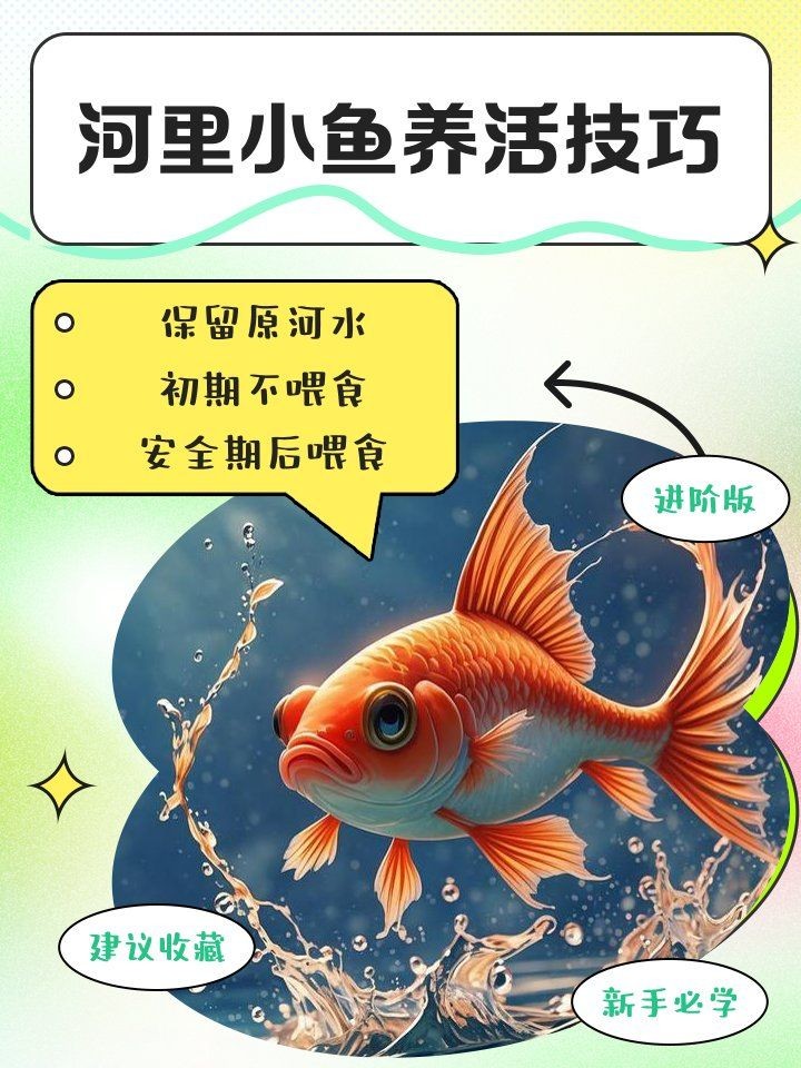河里的小魚苗能養活嗎，河里撈的小魚苗能否成功養活？實用