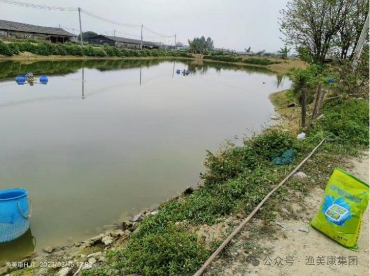 河里的小魚苗能養活嗎，河里撈的小魚苗能否成功養活？實用