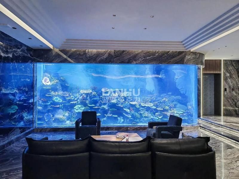 合肥魚缸維護，合肥專業魚缸維護保養一站式上門