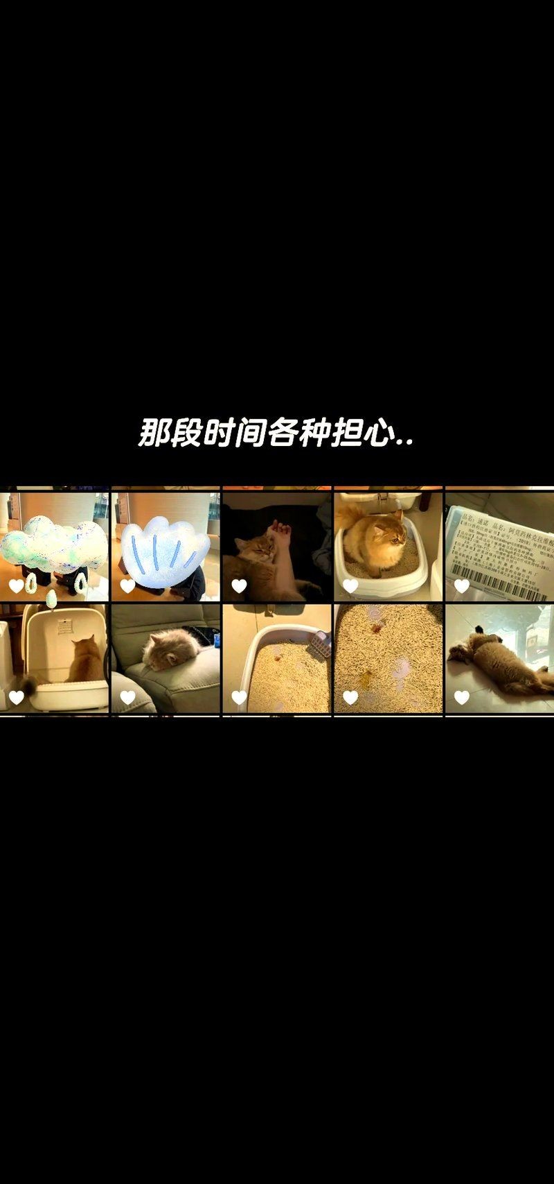好魚糧的毒性有多強，警惕！看似優(yōu)質(zhì)的好魚糧竟暗藏致命毒性風險