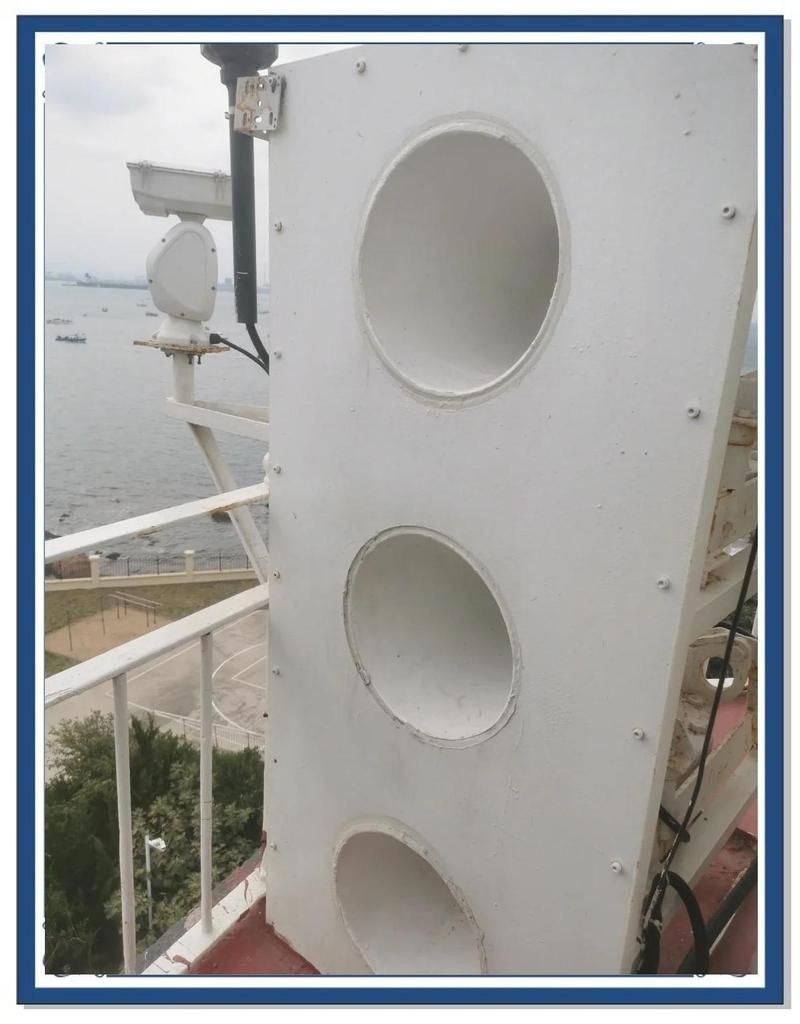 海牛，探秘海洋精靈，解碼海牛 海牛，探秘海洋精靈，解碼海牛 龍魚論壇 第6張
