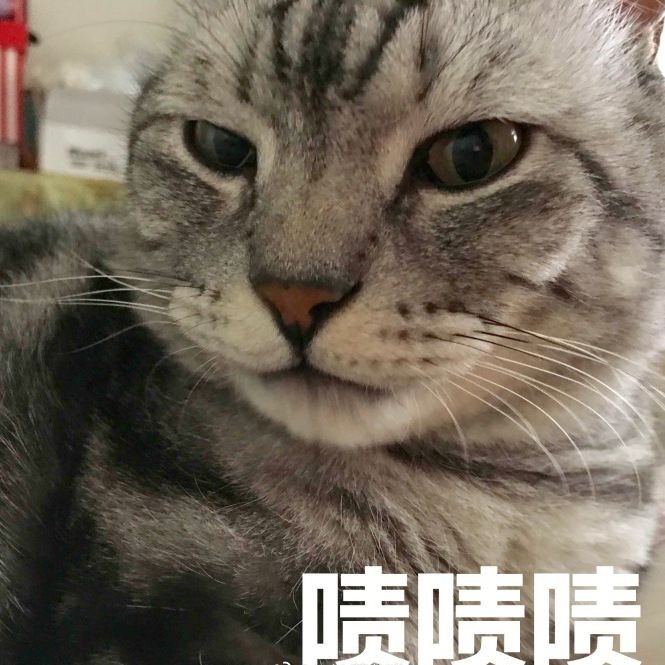 和尚的一日三餐伙食表，揭秘寺廟僧人日常，清規戒律下的和尚一日三餐食譜全