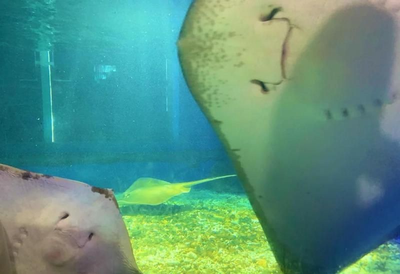 上饒水族店,探秘上饒人氣水族店,打造家居生態水 全國水族館企業名錄 第5張 上饒水族店,探秘上饒人氣水族店,打造家居生態水 上饒水族店,探秘上饒人氣水族店,打造家居生態水 全國水族館企業名錄 第5張