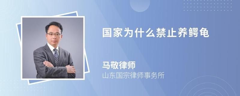 國家為什么禁止養(yǎng)鱷龜，國家明令禁止飼養(yǎng)鱷龜，生態(tài)風(fēng)險與法律紅線背后的