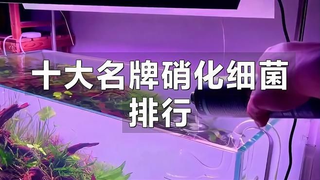 國產硝化菌哪個牌子好，國產硝化菌十大優質品牌排行榜及選購