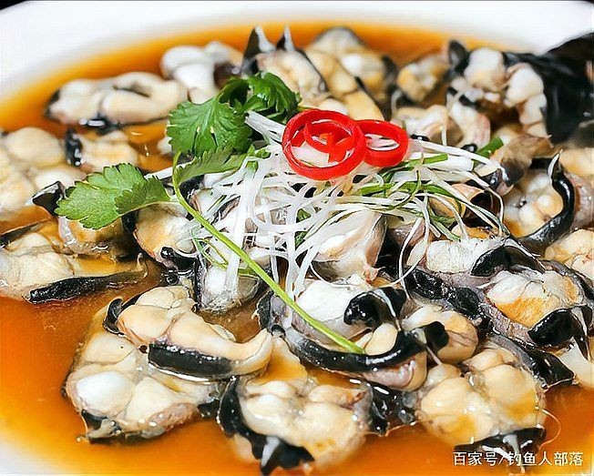 河鰻可以當觀賞魚養嗎,河鰻作為觀賞魚飼養的可行性 龍魚論壇 第7張 河鰻可以當觀賞魚養嗎,河鰻作為觀賞魚飼養的可行性 河鰻可以當觀賞魚養嗎,河鰻作為觀賞魚飼養的可行性 龍魚論壇 第7張