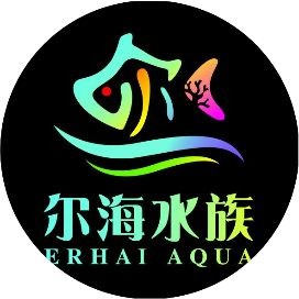 紅龍魚照片，驚艷視界紅龍魚絕美身姿高清寫真集錦