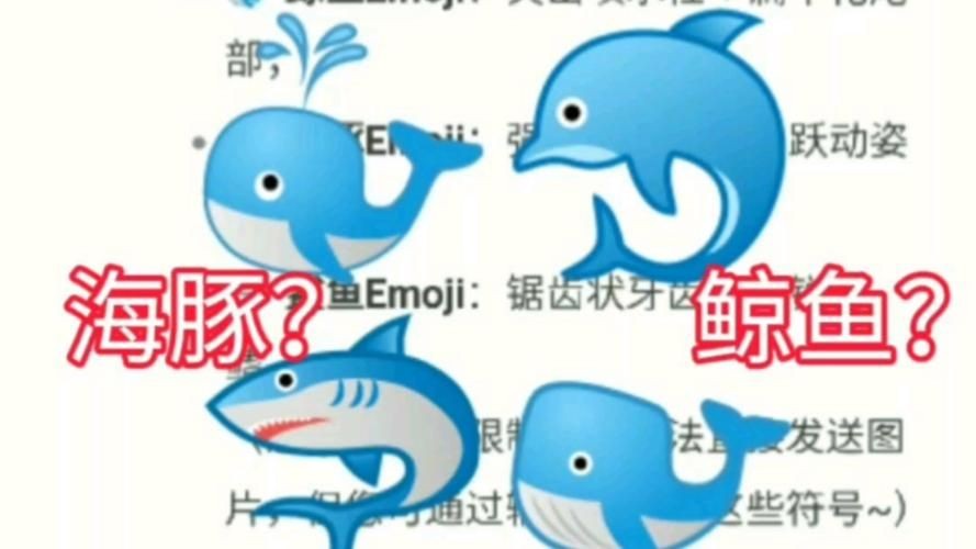 海豚與鯨魚外形區別圖片，高清對比圖鑒海豚與鯨魚，從流線型體型到背 海豚與鯨魚外形區別圖片，高清對比圖鑒海豚與鯨魚，從流線型體型到背 龍魚論壇 第4張