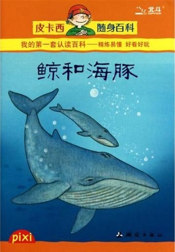 海豚與鯨魚外形區別圖片，高清對比圖鑒海豚與鯨魚，從流線型體型到背 海豚與鯨魚外形區別圖片，高清對比圖鑒海豚與鯨魚，從流線型體型到背 龍魚論壇 第26張