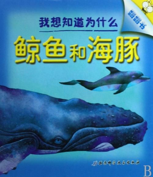 海豚與鯨魚外形區別圖片，高清對比圖鑒海豚與鯨魚，從流線型體型到背 海豚與鯨魚外形區別圖片，高清對比圖鑒海豚與鯨魚，從流線型體型到背 龍魚論壇 第13張