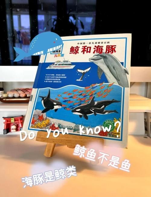 海豚與鯨魚外形區別圖片，高清對比圖鑒海豚與鯨魚，從流線型體型到背 海豚與鯨魚外形區別圖片，高清對比圖鑒海豚與鯨魚，從流線型體型到背 龍魚論壇 第15張