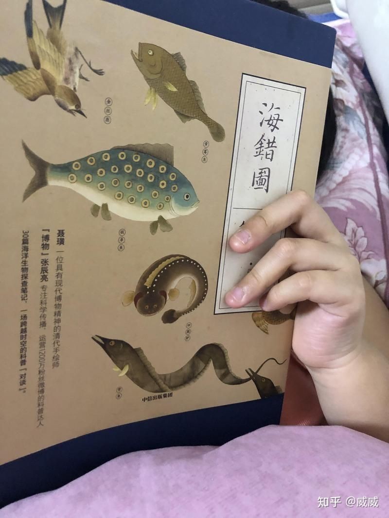 海和尚的原型是什么生物，揭秘‘海和尚’原型之謎，它