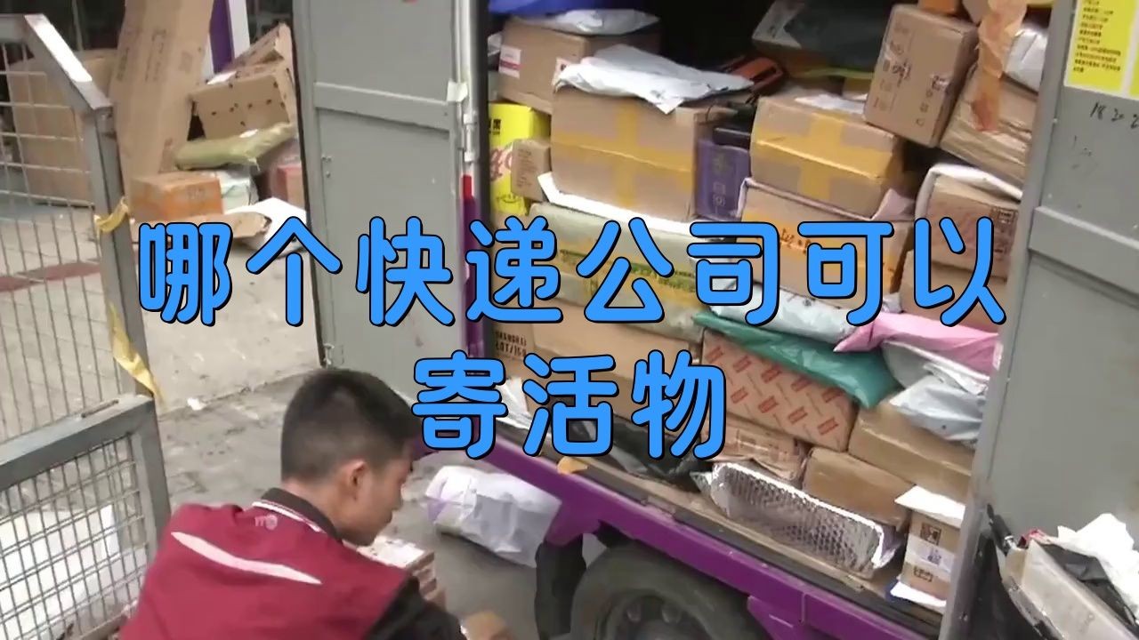 寄活物用哪個快遞公司，寄活物選哪家快遞公司
